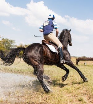 Jinete con casco monta un caballo oscuro salpicando agua al galope