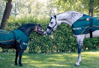 Dos caballos con mantas BEMER tocándose el hocico en un jardín